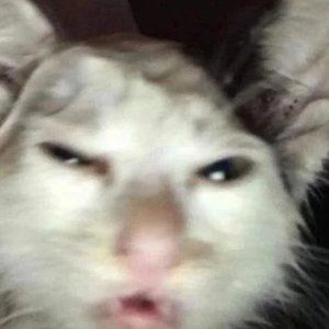 Meet your Posher, ho3